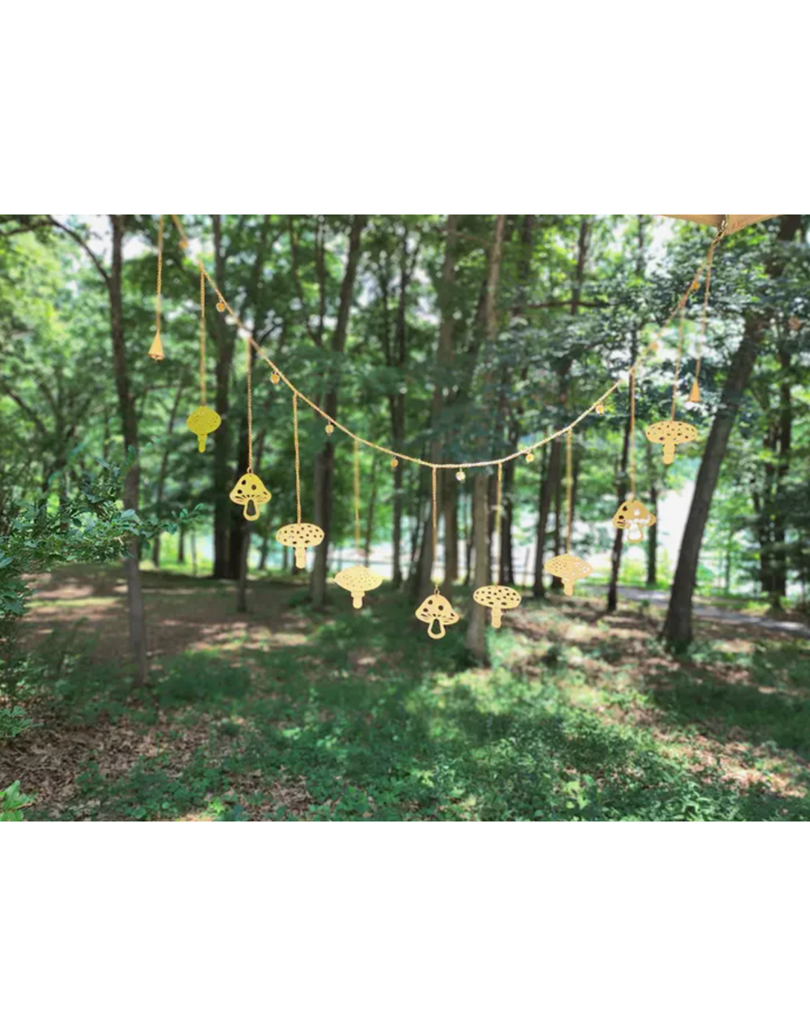 India Mushroom Garland, India