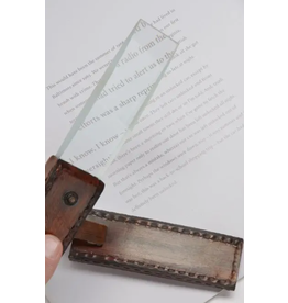 India News Reader Magnifying Glass