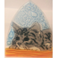 Ecuador Fused Glass Nightlight - Cute Cat