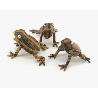 Kenya Banana Fibre Frog