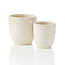 India CLEARANCE Tana Leaves Planter - Small