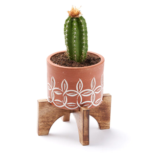 India Daksha Terracotta Planter w/ Stand