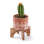 India CLEARANCE Daksha Terracotta Planter w/ Stand
