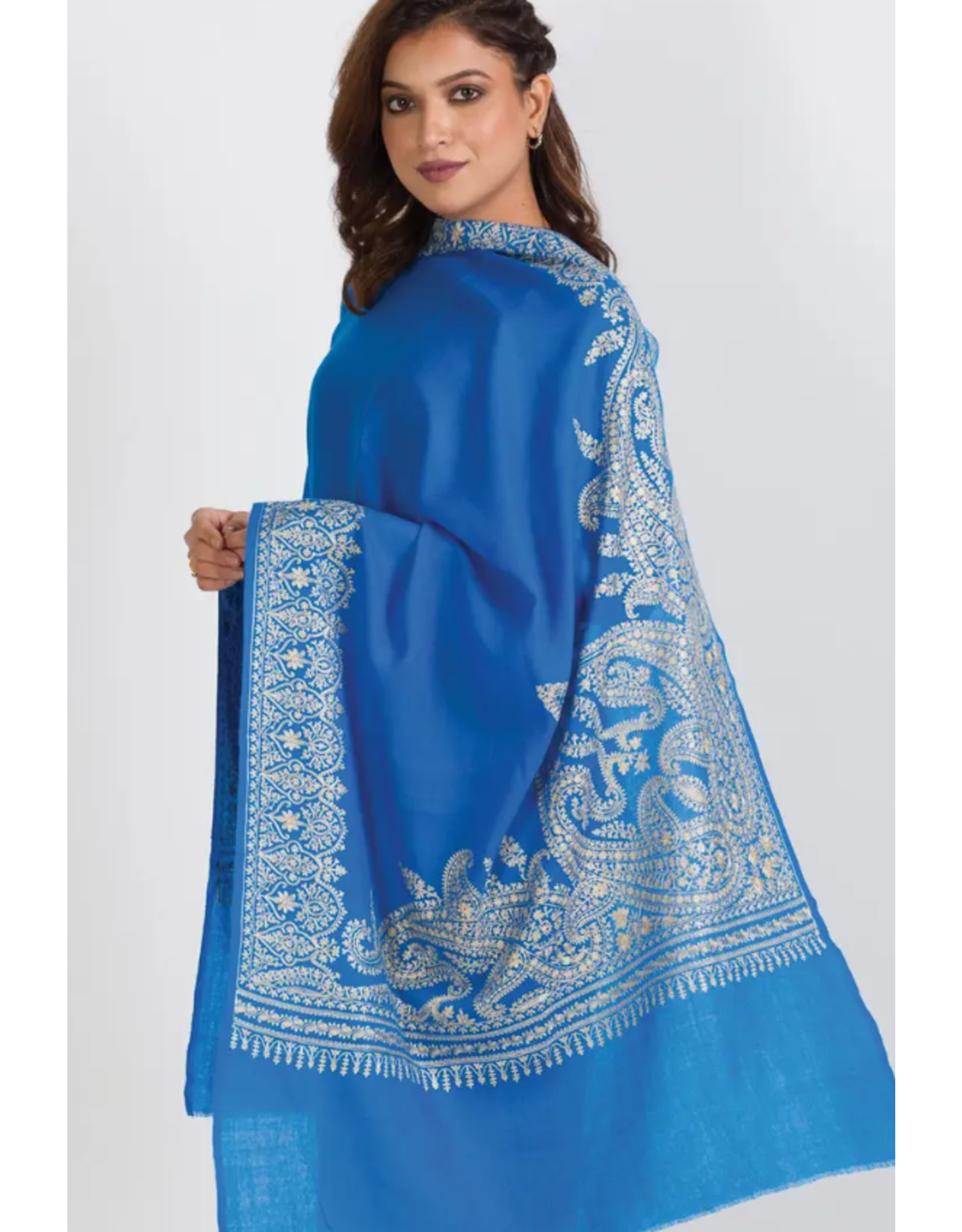 India Geeta Blue & Champagne Wool Shawl, India