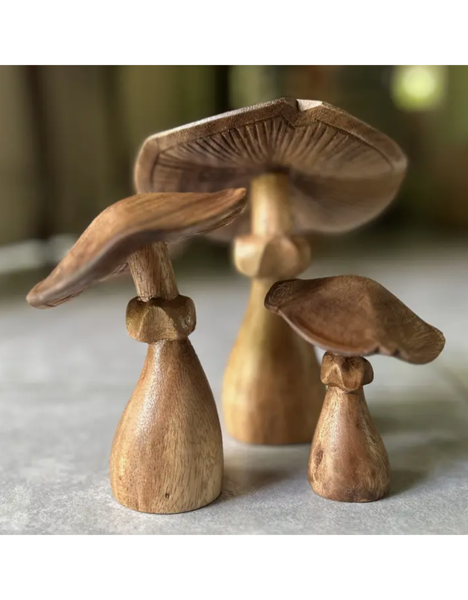 Natural Suar Wood Mushroom - Indonesia - Village Goods