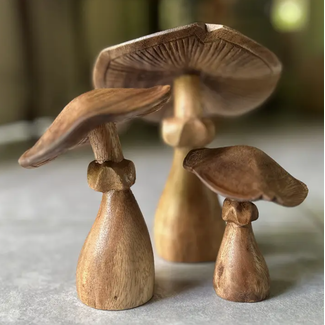 Indonesia Natural Suar Wood Mushroom