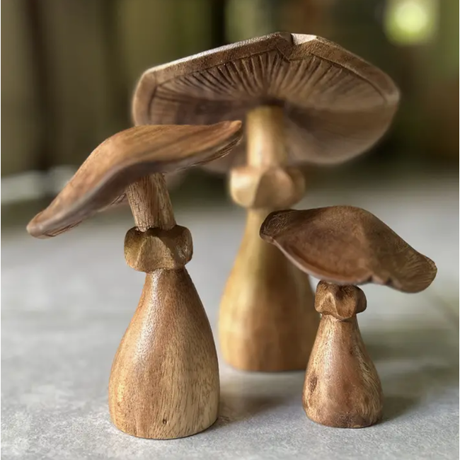 Natural Suar Wood Mushroom