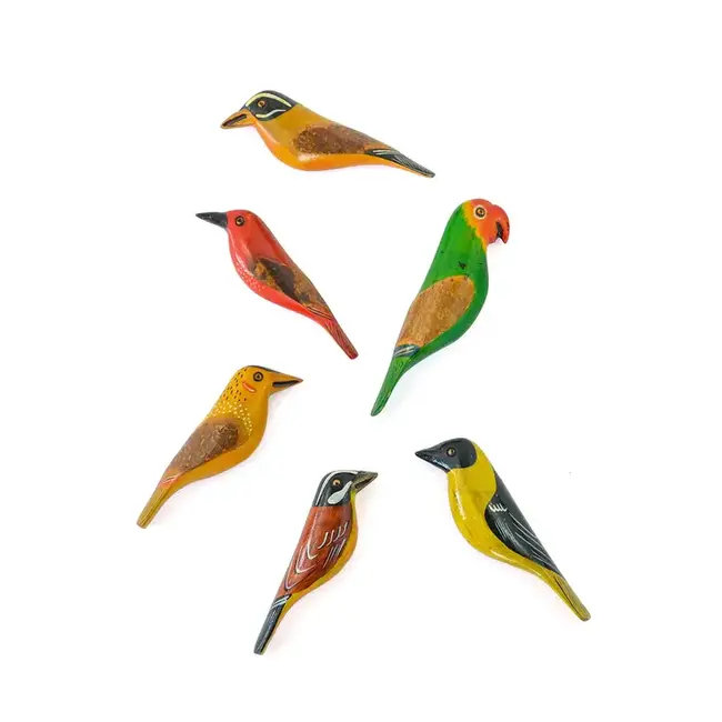 Bird Magnet