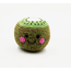 Bangladesh Friendly Kiwi Rattle