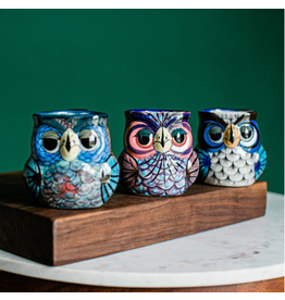 Guatemala Owl Coffee Mug, Guatemala