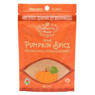 Gathering Place Pumpkin Spice Powder 40g