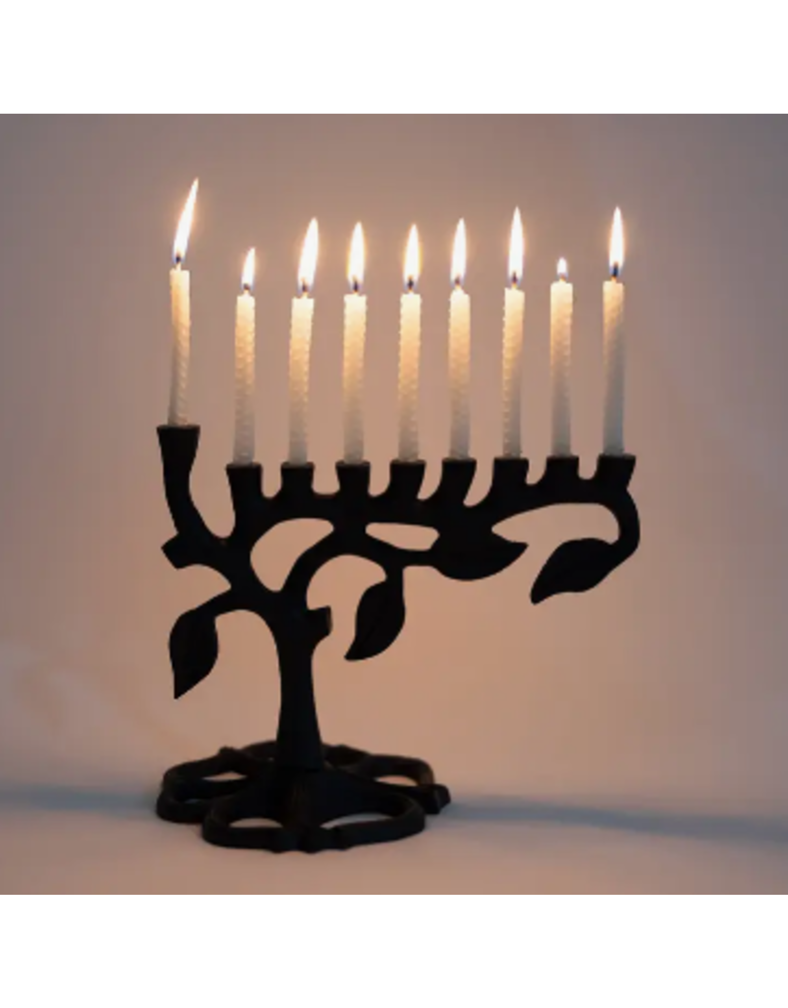 India Botanical Leaf Menorah, India