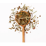 JusTea Peppermint Loose Leaf Tea
