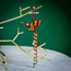 Guatemala Beaded Hummingbird Ornament - Large