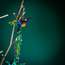 Ornament  - Beaded Hummingbird, Large