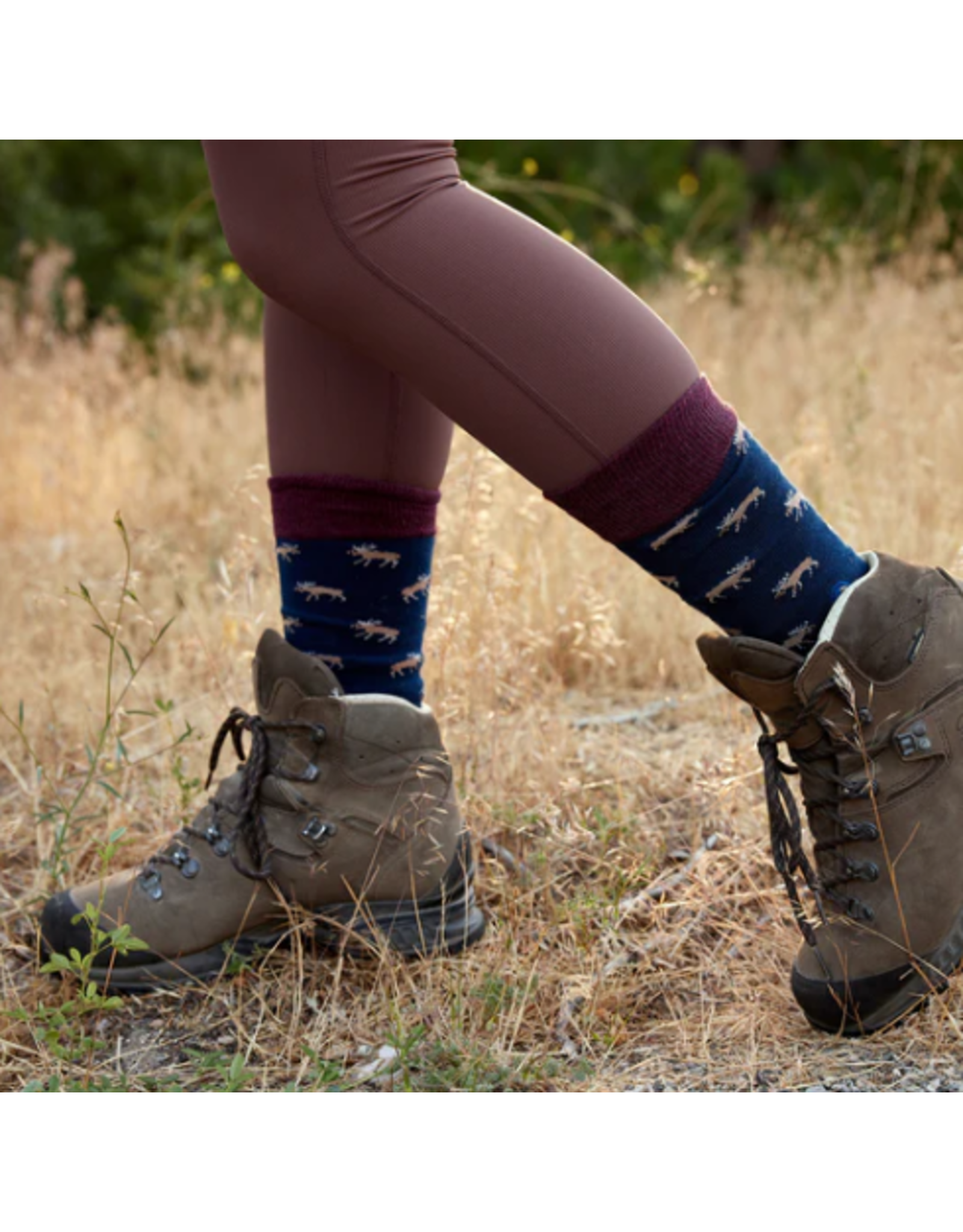 India Crew Socks That Protect Moose