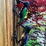 Recycled Oil Drum Hanging Woodpecker