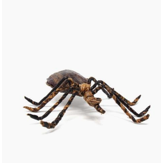 Kenya Banana Fibre Spider