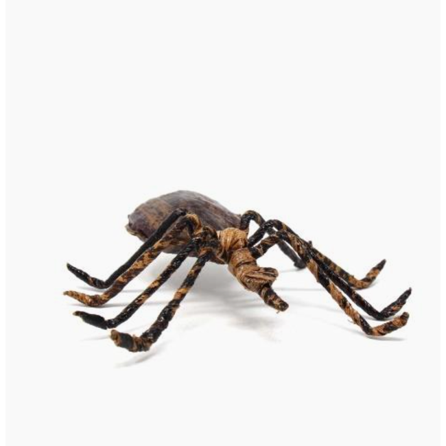 Banana Fibre Spider