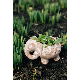 Bangladesh Elephant Planter Bangladesh Elephant Planter