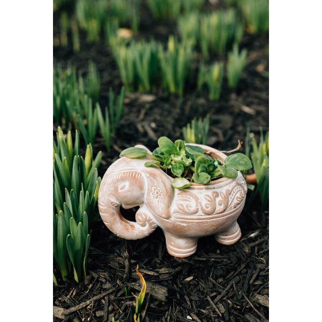Elephant Planter