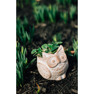 Bangladesh CLEARANCE Petite Owl Planter