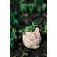 Bangladesh Petite Owl Planter