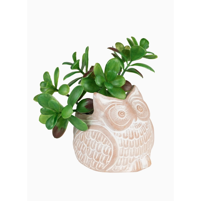 CLEARANCE Petite Owl Planter