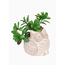 CLEARANCE Petite Owl Planter