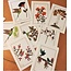Ecuador Pressed Flower Card