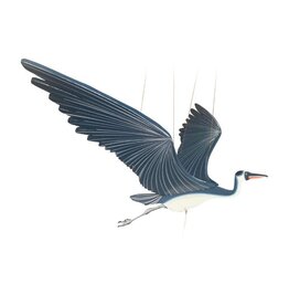 Colombia Blue Heron Flying Mobile