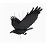 Colombia Flying Mobile - Raven