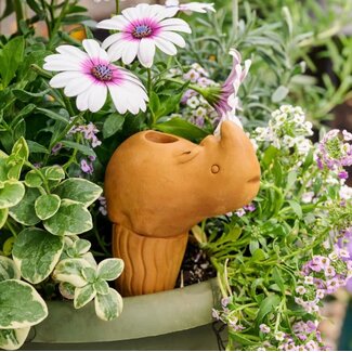 Bangladesh CLEARANCE Terracotta Watering Stake