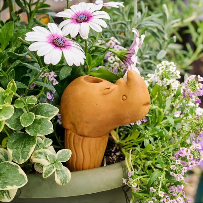 Terracotta Watering Stake