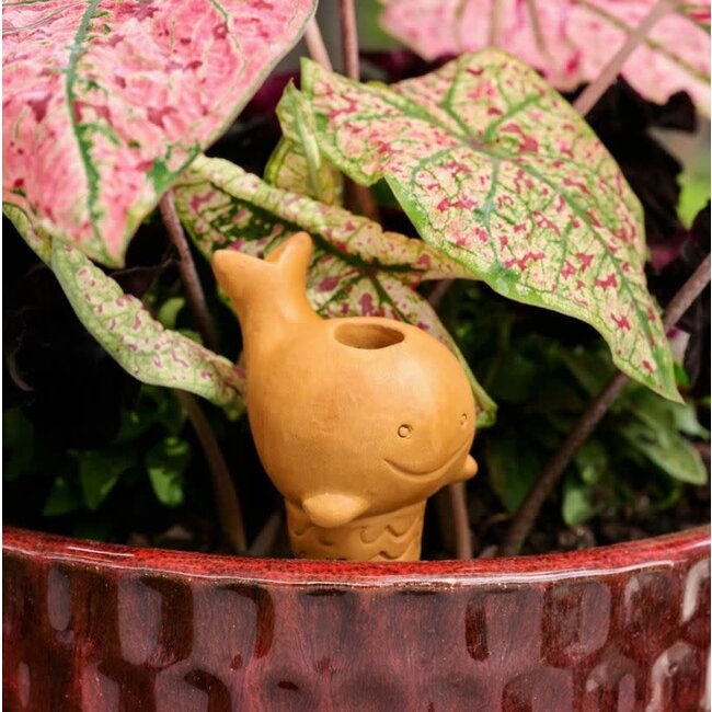 CLEARANCE Terracotta Watering Stake