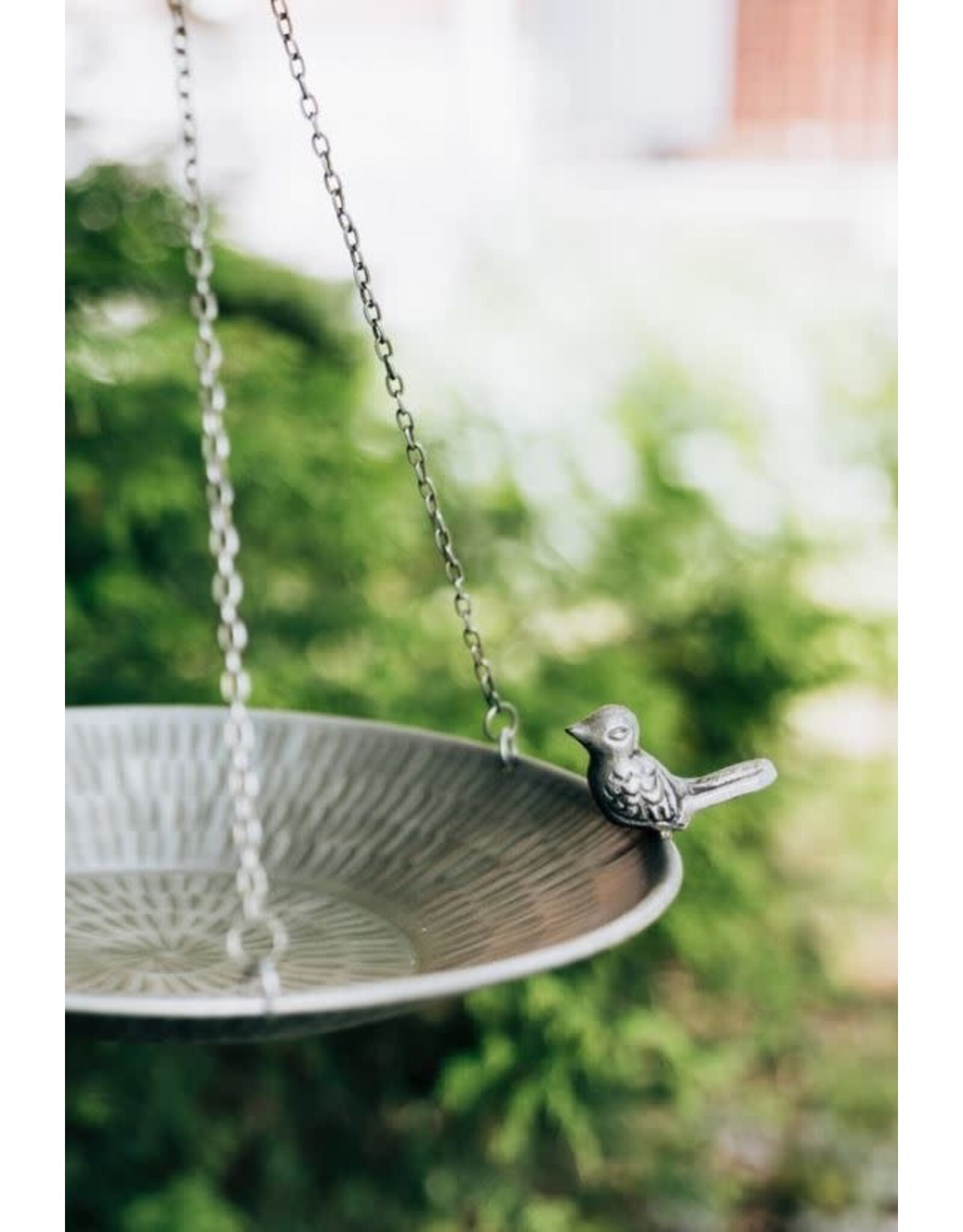 India Clear Skies Bird Feeder