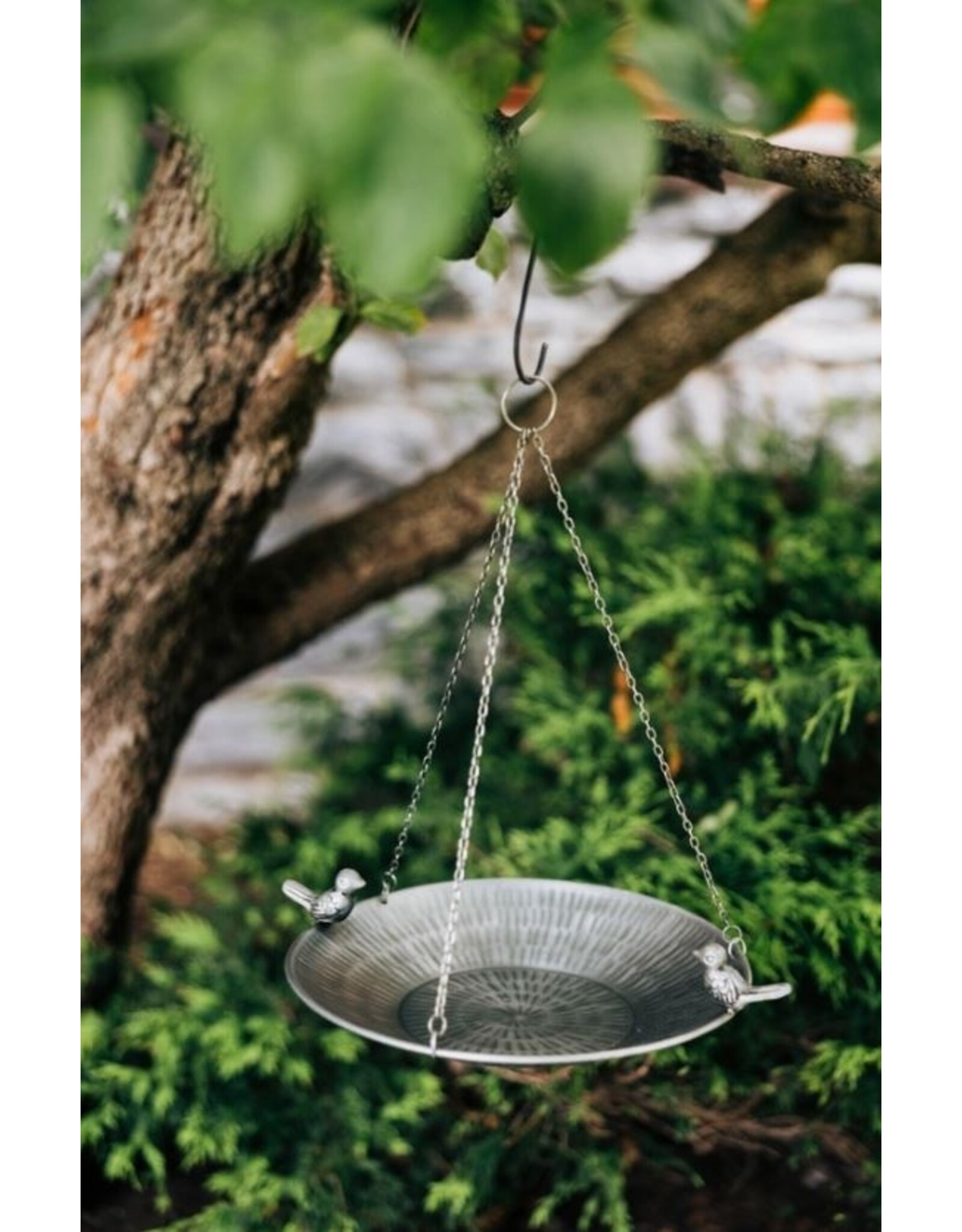 India Clear Skies Bird Feeder