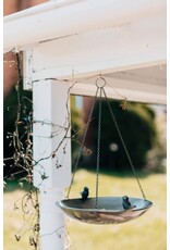 India Clear Skies Bird Feeder