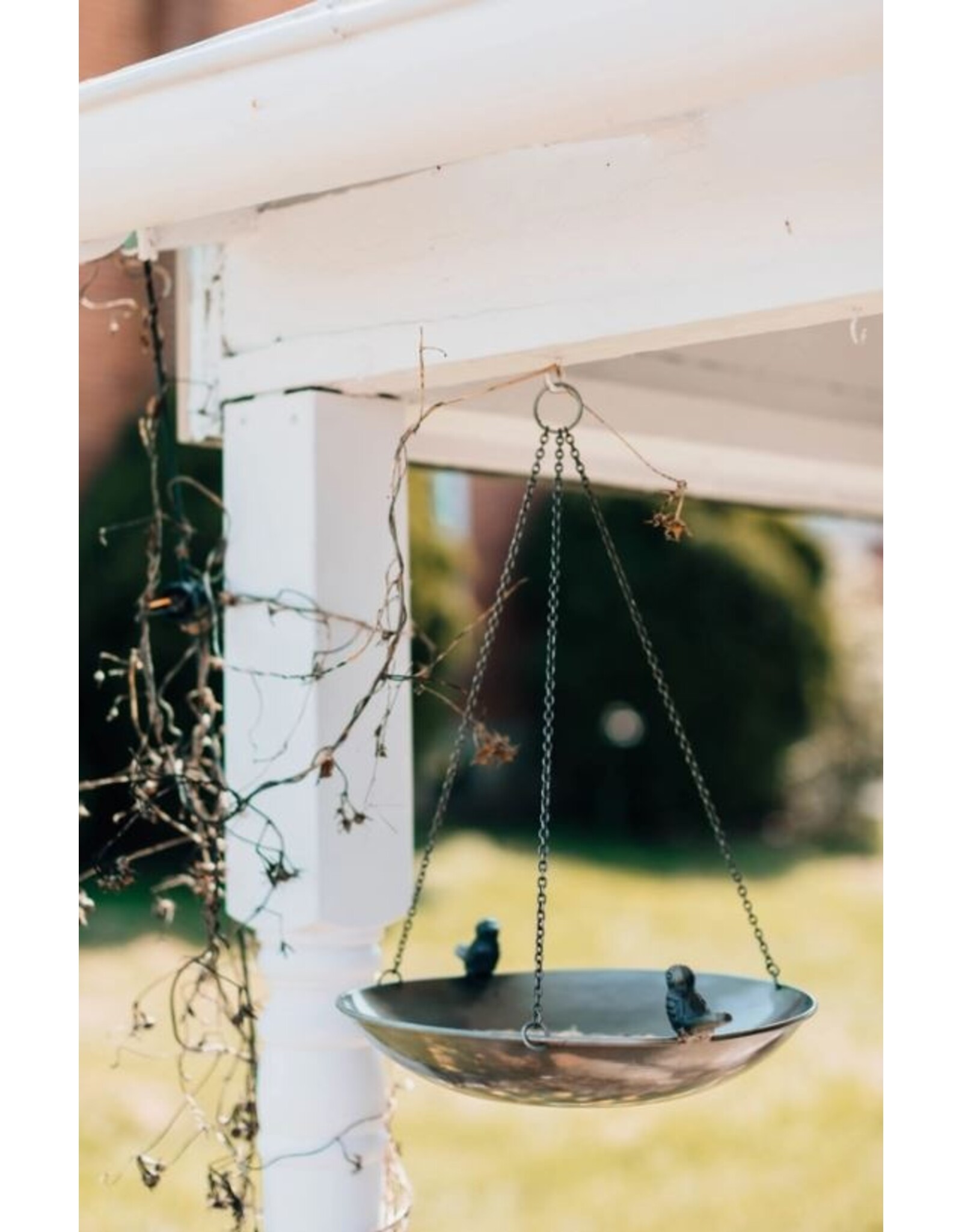 India Clear Skies Bird Feeder