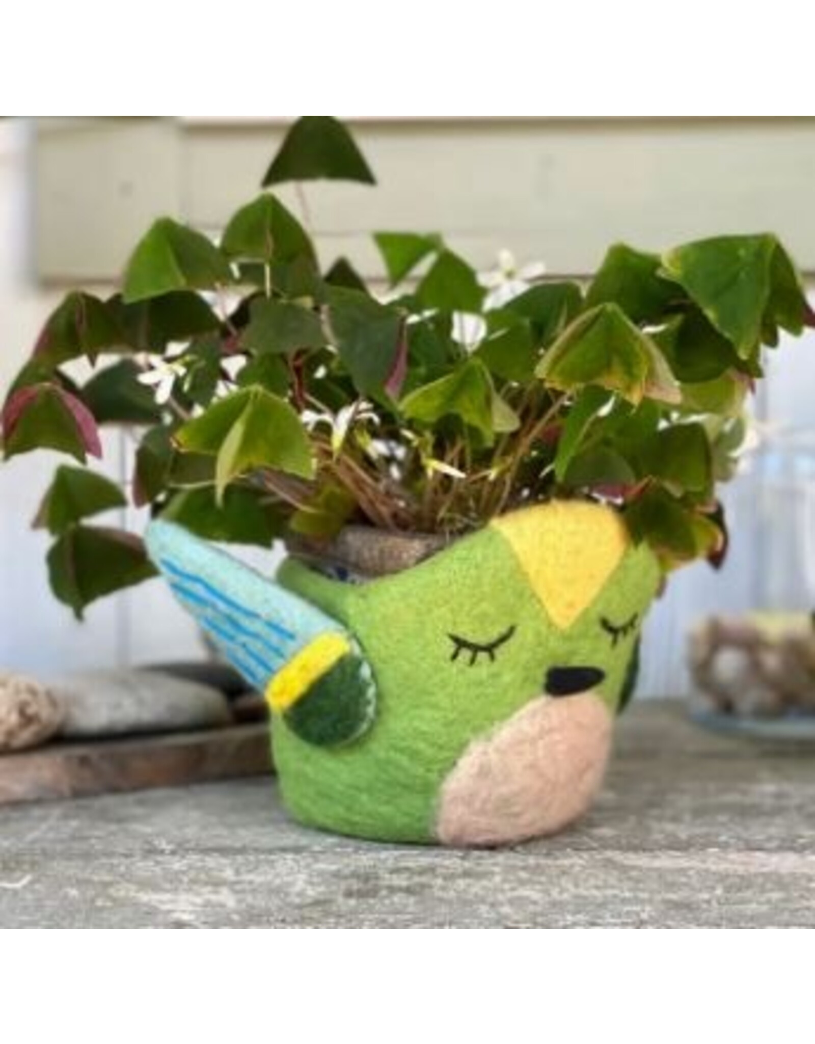 Nepal Hummingbird Felt Pot