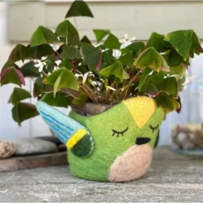 Hummingbird Felt Pot
