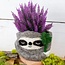 Felt Pot - Sloth