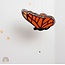 Flying Mobile - Monarch Butterfly