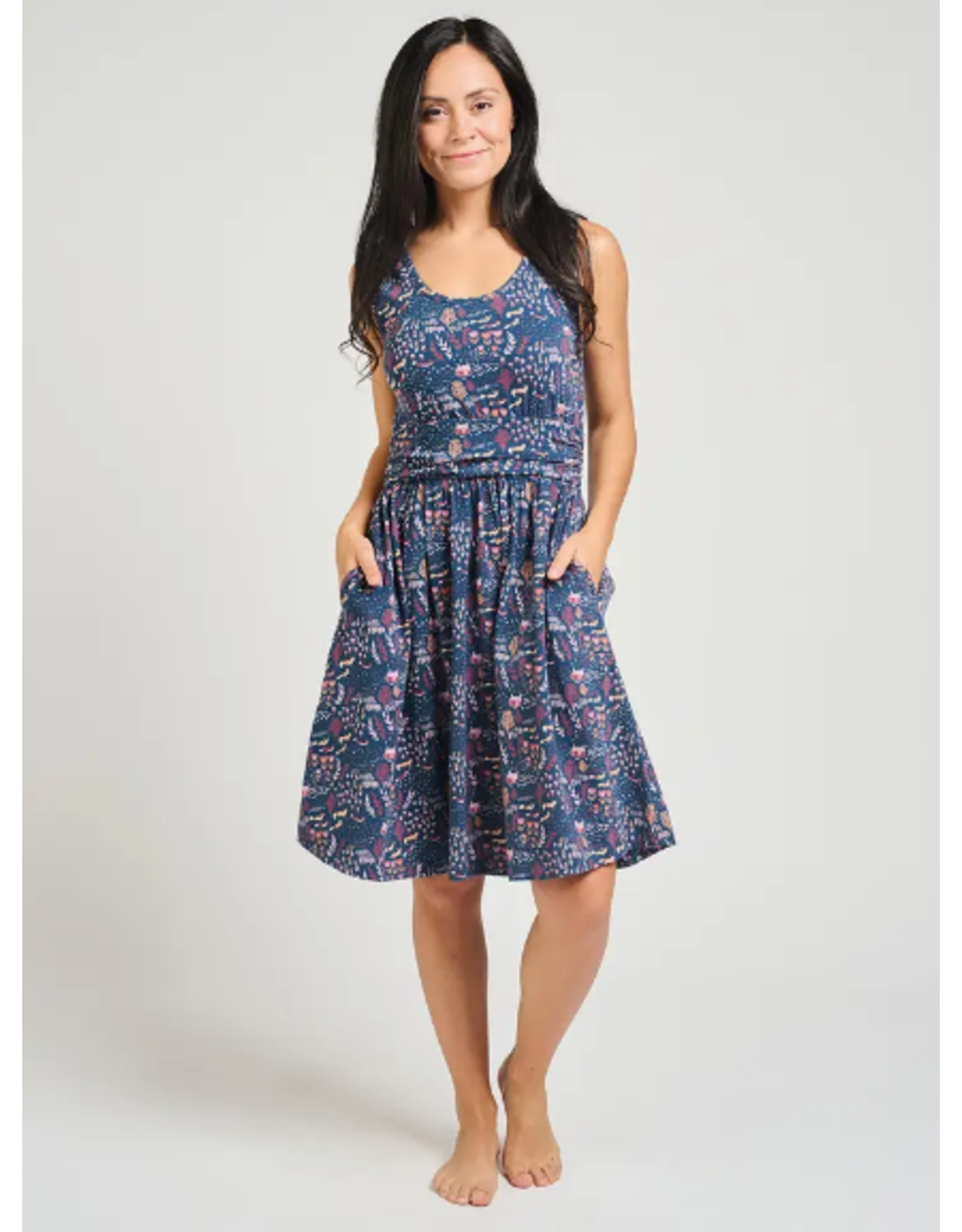 India Asheville Dress in Fox Field Blue, India