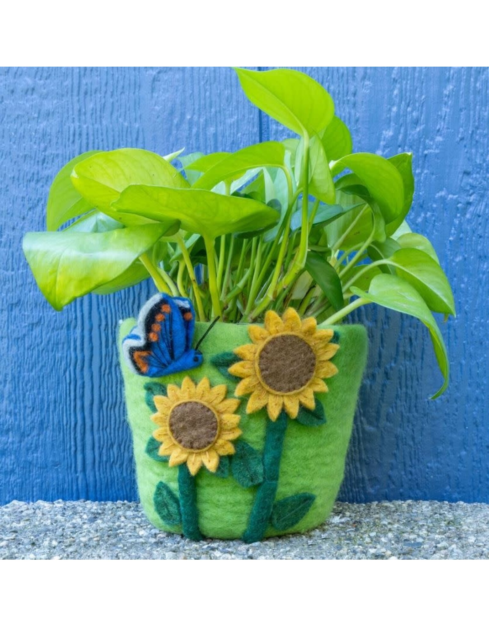Nepal Sunflower Felt Pot