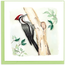 Vietnam Quilled Card - Pileated Woodpecker