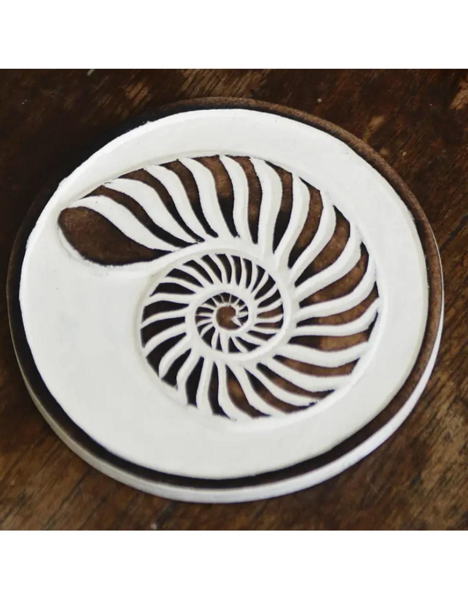 Indonesia Wood Seashell Coasters (set of 4), Indonesia