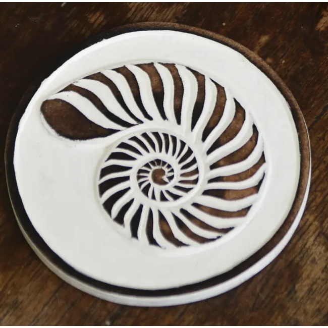 Wood Seashell Coasters (set of 4)