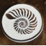 Wood Seashell Coasters (set of 4)