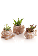 Bangladesh CLEARANCE Pond Critter Planter, Bangladesh Fish